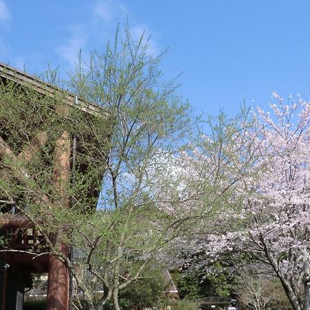 Lassy Condominium Kumamoto Esterno foto
