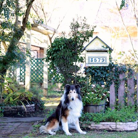 Lassy Condominium Kumamoto Esterno foto