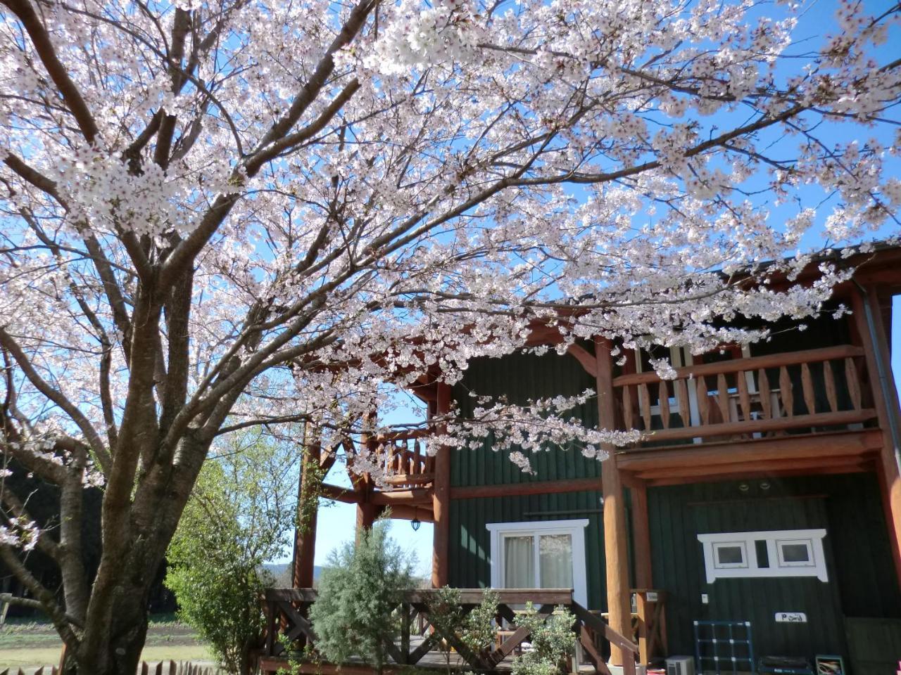 Lassy Condominium Kumamoto Esterno foto